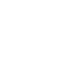 Calvetti Ferguson