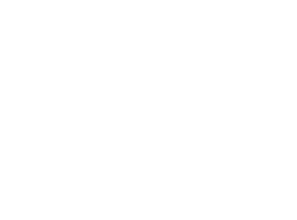 City of Houston