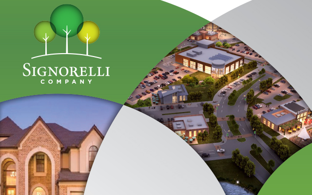 Signorelli