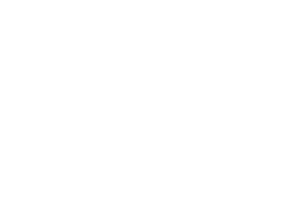 City of Houston